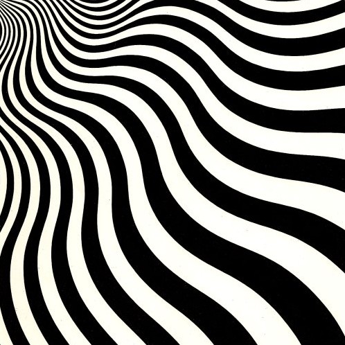 Intake - Bridget Riley, 1964